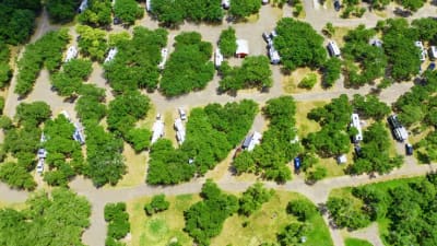 Aerial view of RV sites nestled among live oak trees at New Season RV Resort, Aransas Pass TX