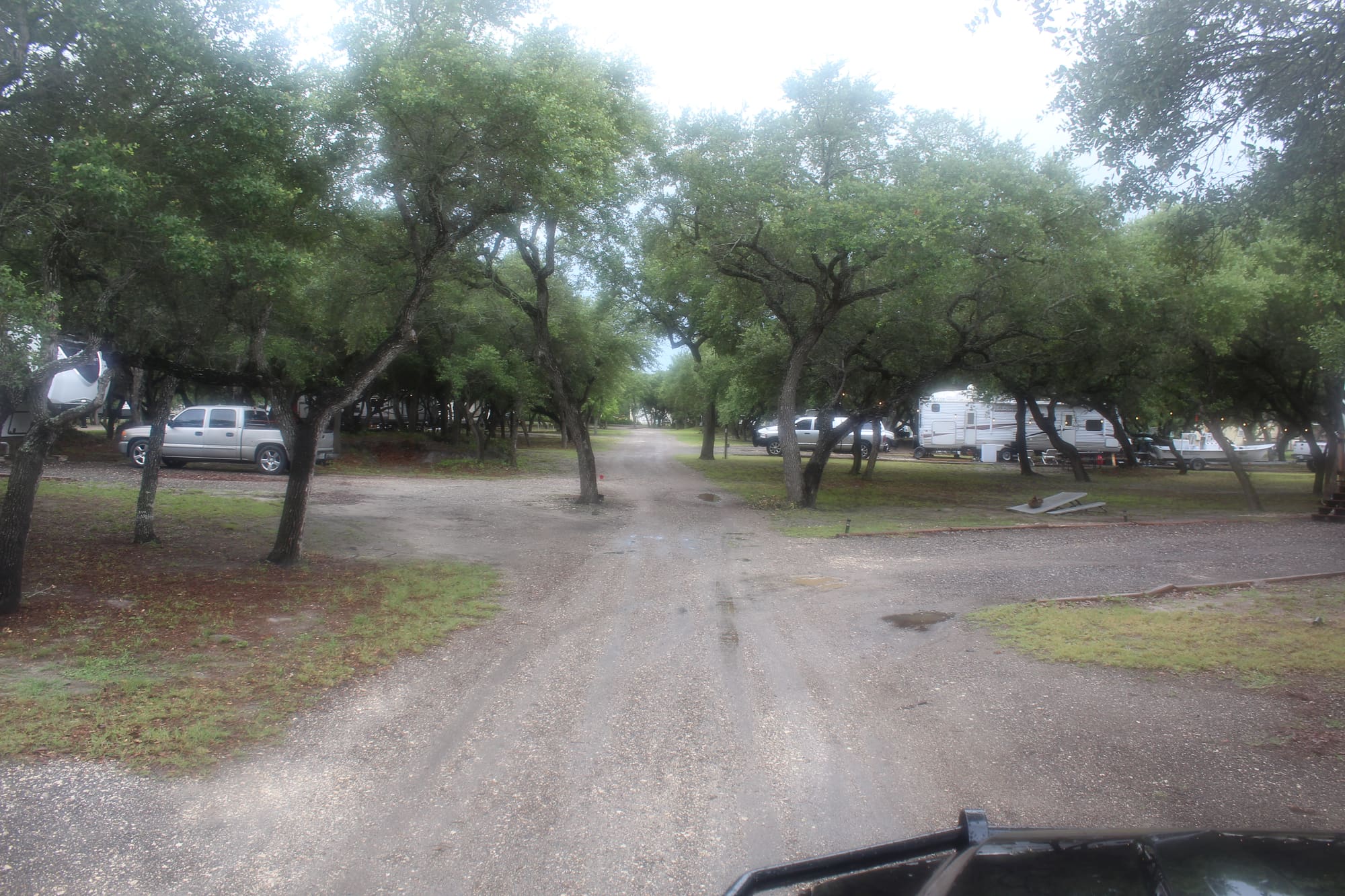 Gravel site road winding through live oak trees at New Season RV Resort, Aransas Pass TX
